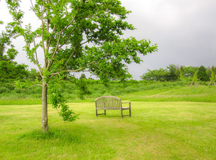 low_bg5