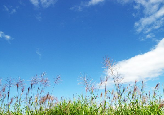 low_bg7