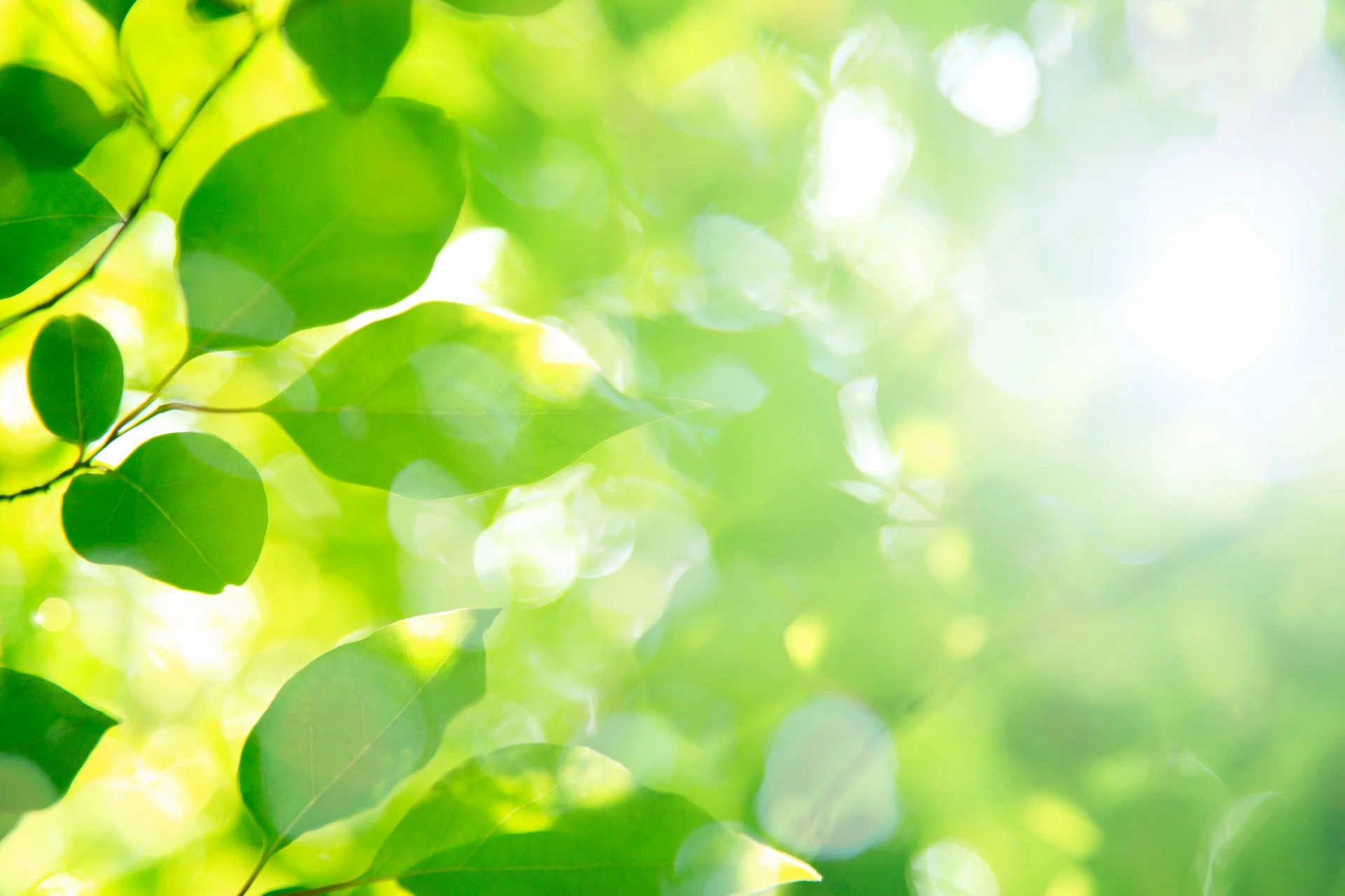 葛飾区の相続不動産売却